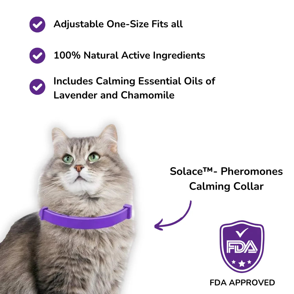 Pawlecta™ Natural Calming Cat Collar - PAWLECTA