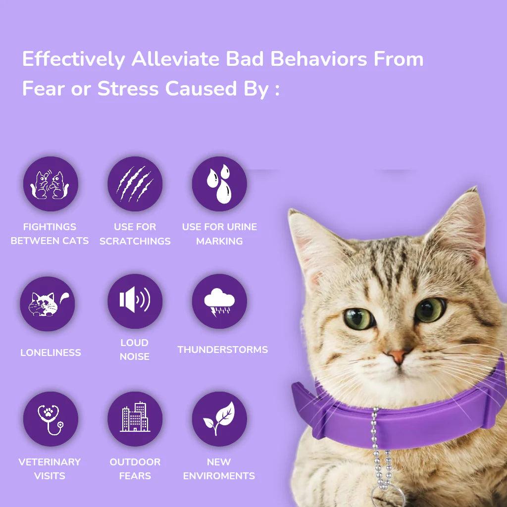 Pawlecta™ Natural Calming Cat Collar - PAWLECTA