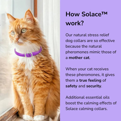 Pawlecta™ Natural Calming Cat Collar - PAWLECTA