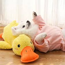 Pawlecta™ Calming Quack Duck - PAWLECTA